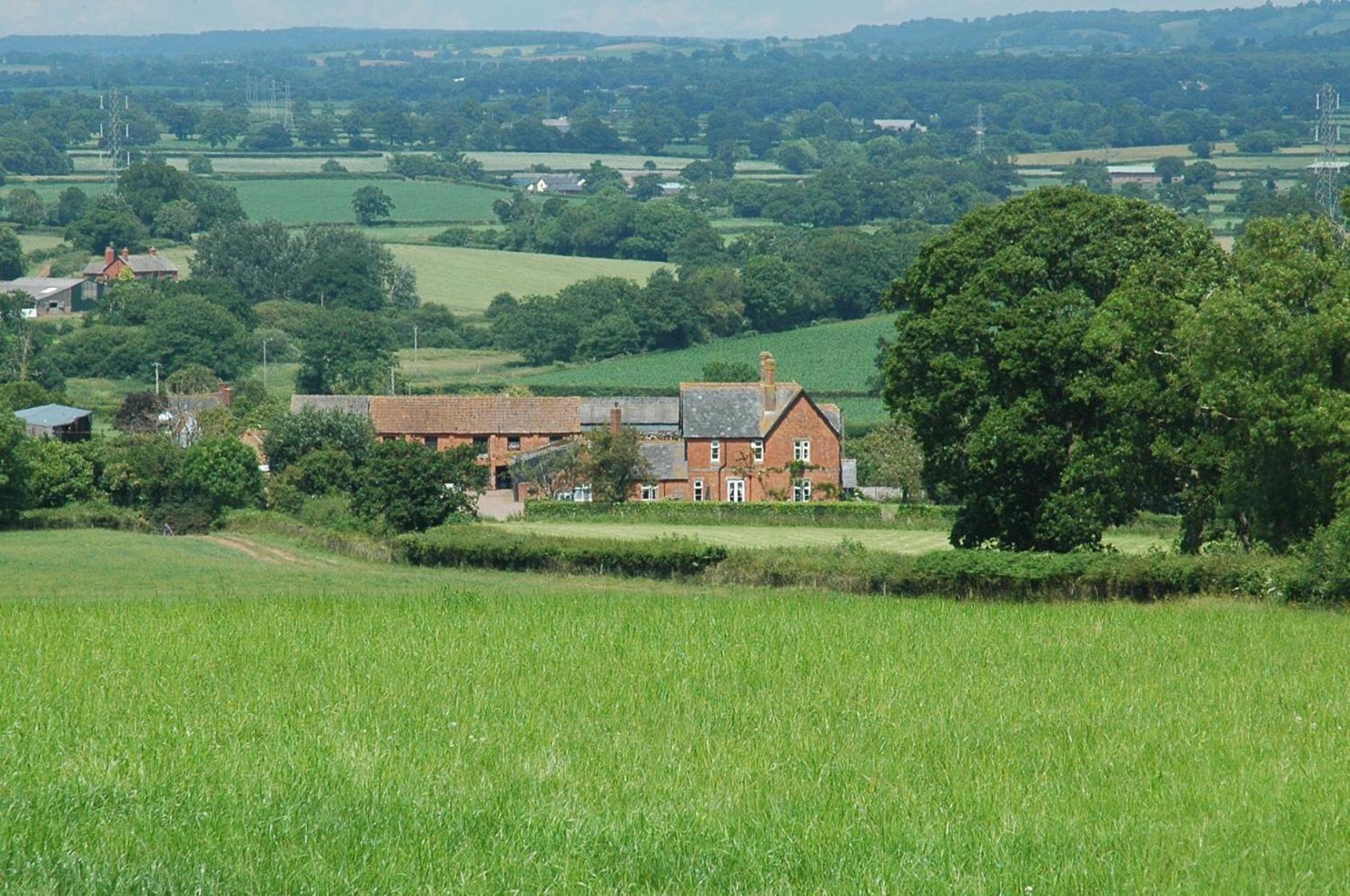 Newcourt Barton Villa Cullompton Exterior photo